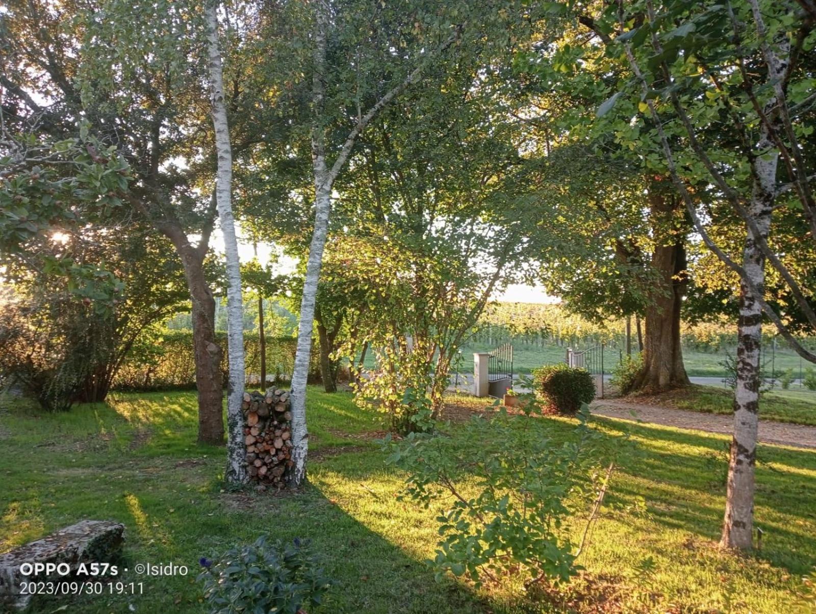 La Demeure D'Ezilda Vila Fléac-sur-Seugne Exterior foto